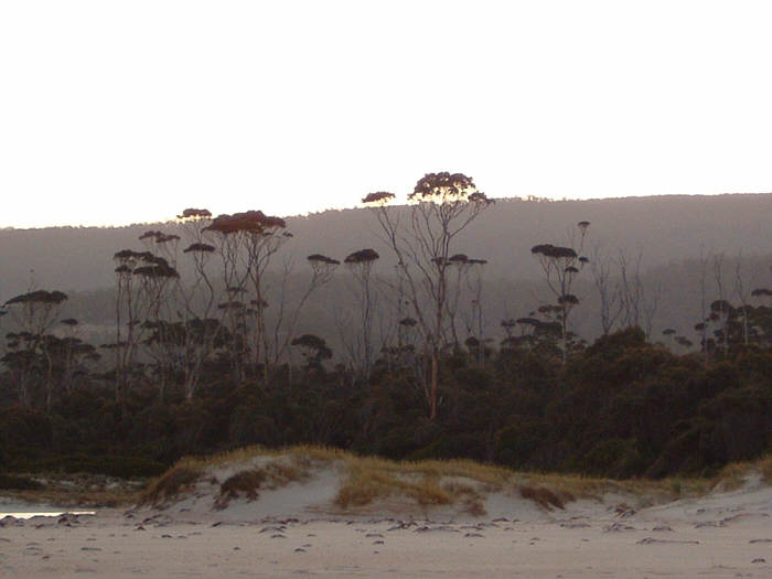 31 Tasmania.jpg